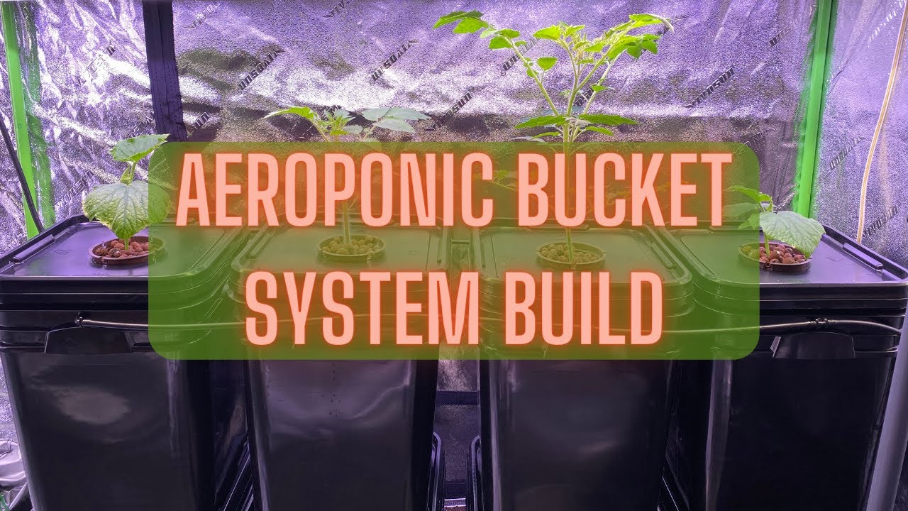 Aeroponic Bucket System Build