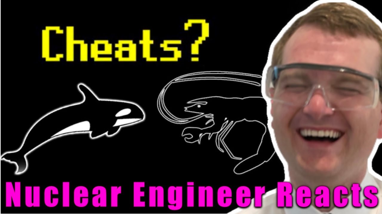 Nuclear engineer reacts to tierzoo abusing the game s physics engine