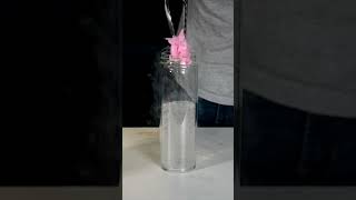 Thumbnail for Wet Cotton Candy?
