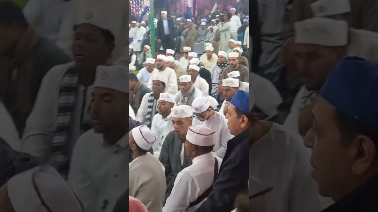 احتفال السادة الجازوليةبمولد السيدة زينب بكوم امبو الرغامة غرب٢٠٢٥/١/١٧