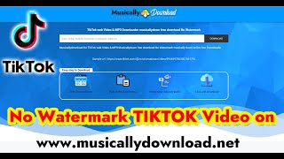 Download TikTok Videos Without Watermark musicallydown TikTok Video Download musicallydownload.net