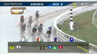 Gulfstream Park Race 6 | March 25, 2016
