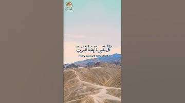 كل نفس ذائقة الموت | تلاوة خاشعة  | ماتيسر من سورة  العنكبوت بصوت القارئ عبد الرحمن مسعد