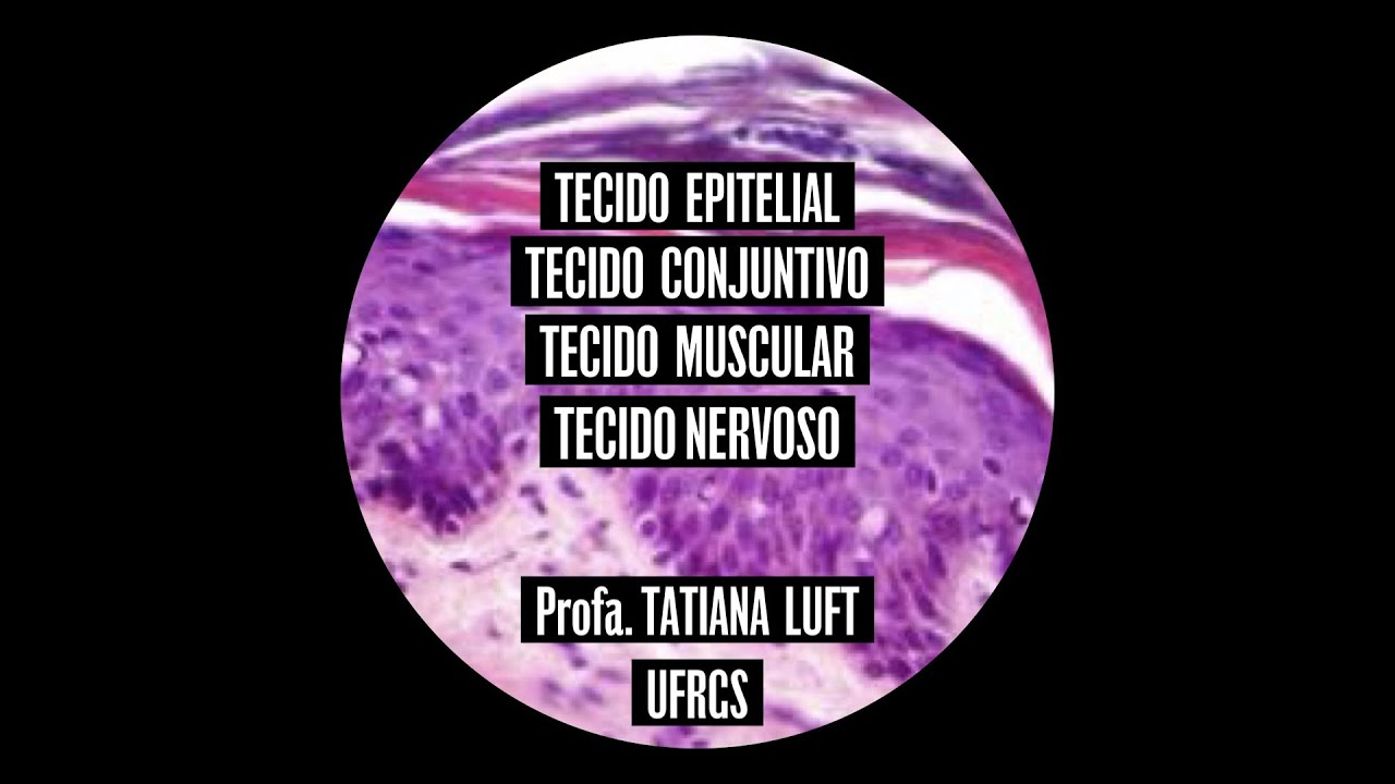 Tecido Epitelial de Revestimento