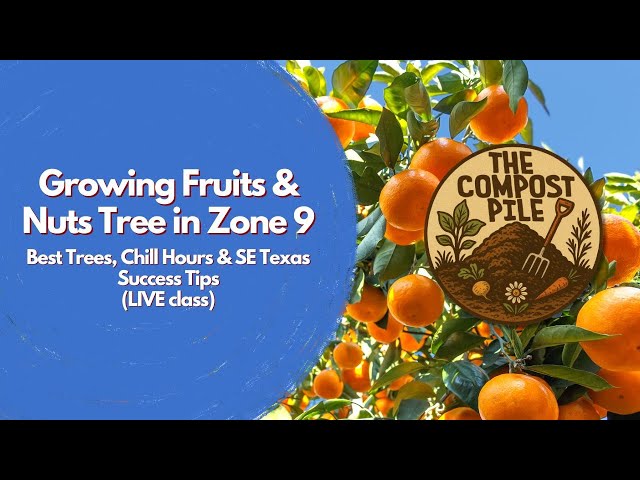 Growing Fruits & Nuts at Home in Zone 9 - Best Trees, Chill Hours