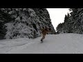 Snowskate@ Душевадката with Ico and Marto 31.01.21
