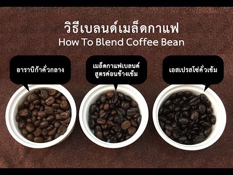 How To Blend Coffee Bean วิธีเบลนด์เมล็ดกาแฟ เพื่อใช้เป็นสูตรเฉพาะของเรา