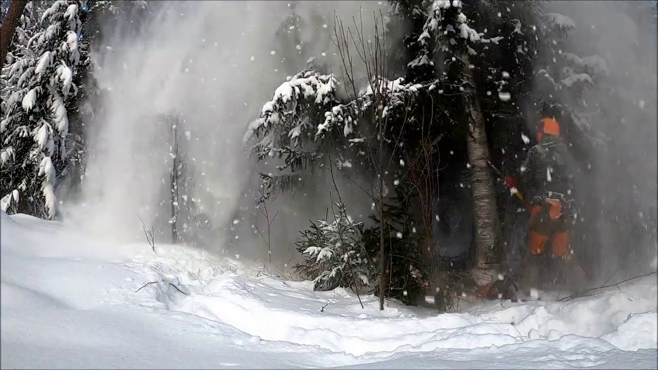 Motoa avustamassa / ProSilva S4 / Husvarna 346XP G / Jonsered 2172 /Assisting Harvester