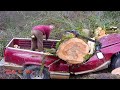 TOP 10 Extremely Crazy Dangerous Tree Felling Fails With Chainsaw & Tree Pulling by Car