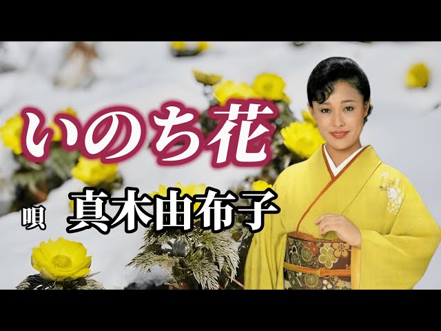 いのち花NEW!真木柚布子