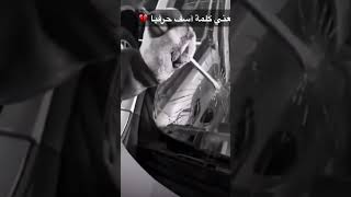 معنى كلمه اسف حرفيا