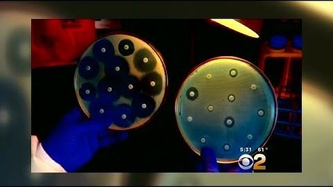 UCLA Officials Say All Required Procedures Followed Prior To Superbug Outbreak