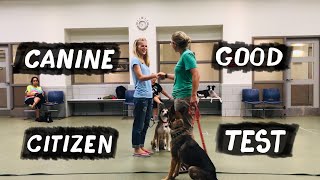 Canine Good Citizen Test || CGC Test Chicago USA