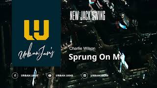 Charlie Wilson - Sprung On Me | New Jack Swing | Throwback Classic