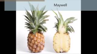 Dimitri Vegas & Like Mike vs. Pikotaro - Leaves vs. PPAP (Maywell mashup)