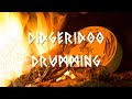 Pure didgeridoo and shamanic drumming at bonfire  shamanic meditation music in the wild