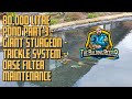 80,000 litre koi pond - part 2 - Trickle System - Giant Sturgeon - Oase Filter Maintenance