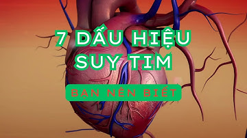 7 DẤU HIỆU SUY TIM BẠN NÊN BIẾT / Tim Mạch / Phongantimage Healthy