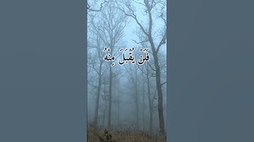 قرآن كريم في صوت محمد صديق المنشاوي#المنشاوي #قرآن #اكسبلور #قران_كريم #menshawy #حالات_واتس #quran