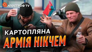 АРМІЯ БІЛОРУСІ МРІЄ ЗІБРАТИ 1,5 МЛН СОЛДАТ: чому в Лукашенко нічого не вийде