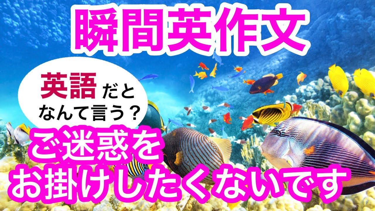 瞬間英作文198　英会話「仕方なかったの」「ご迷惑をお掛けしたくないです」「時差ボケで、今はちょっと疲れてます」