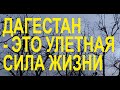 Дагестан - это улетная СИЛА ЖИЗНИ!! | март 2021