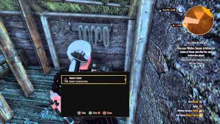 Witcher 3 Chest Glitch