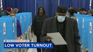 Here's how low voter turnout could impact Illinois primary election results