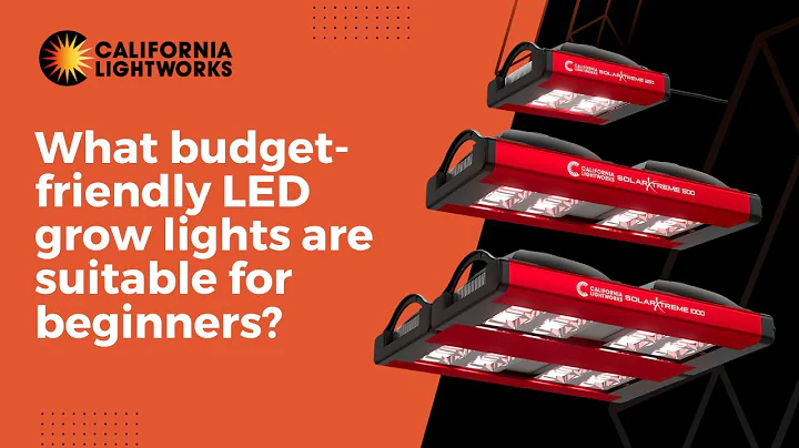 What budget friendly LED grow lights are suitable for beginners?