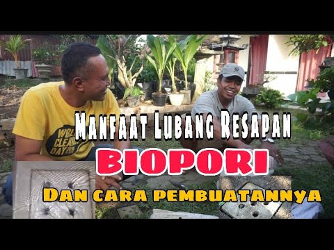 Video: Alam Percuma • Halaman 2