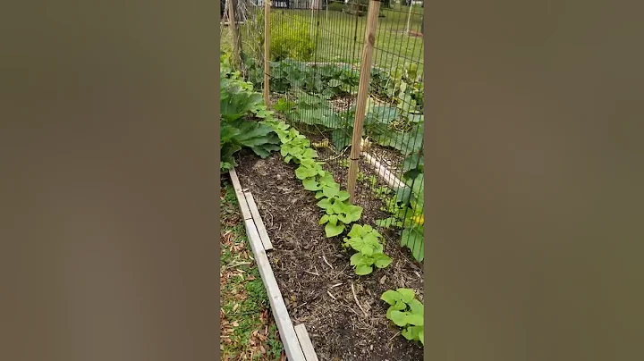 Byrd Sanctuary Garden Update 2022.11.02