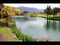 帶刺的玫瑰 演唱 蘇 路 背景 雲山水遊憩區 1080P HD 帶刺的玫瑰 演唱 蘇 路 背景 雲山水遊憩區 1080P HD