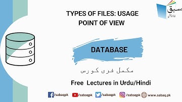 Types of Files: Usage Point of View, Computer Science Lecture | Sabaq.pk