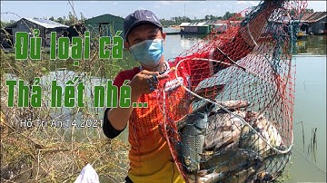 CÂU CÁ HỒ THỦY ĐIỆN TRỊ AN, ĐỒNG NAI. Săn cá Hoàng Đế dính toàn cá Hoàng Tử, Hoàng Hậu.