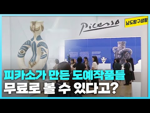 피카소의 손끝에서 탄생한 도예 걸작들을 무료로 관람할 기회?! [남도탐구생활_광주MBC_2024.07.25]