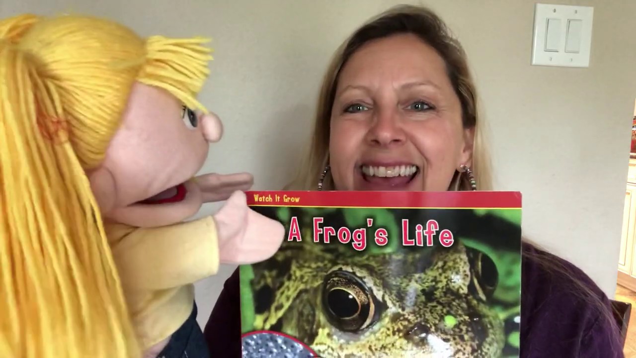 A Frog’s Life Read Aloud - YouTube