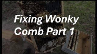Fixing Wonky Comb Part 1 #beekeeping
