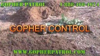 Gopher Control Exterminators