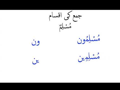 Arabic Grammar Revision 002 Number
