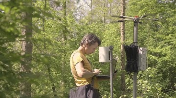 Interception - Capturing the Rain