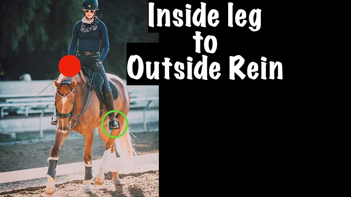 The Key to Dressage - Inside leg to Outside Rein