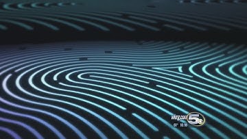 Cyber Safe: Biometric Security