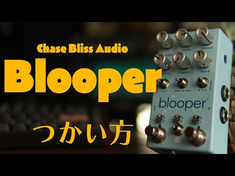 ギター CHASE BLISS AUDIO BLOOPER Watch BEFORE you buy: Chase Bliss Audio Blooper - 2 month
