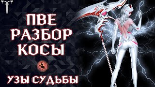 ПВЕ РАЗБОР И ГАЙД НА КЛАСС ПОЖИРАТЕЛЬНИЦА ДУШ (УЗЫ СУДЬБЫ) ►LOST ARK ONLINE ►PVE GUIDE SOULEATER