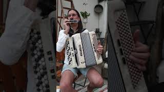 Download Lagu Harmonica and accordion - work in progress #shorts MP3 Download Lagu Harmonica and accordion - work in progress #shorts MP3