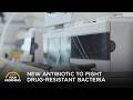 McMaster Researchers Discover New Antibiotic to Fight Superbugs | Your Morning