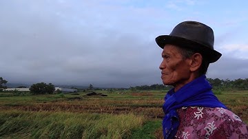 Petani Indonesia | Petani Tetap Berproduksi Di tengah Pandemi Covid-19