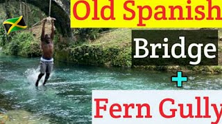 Famous Adventure at the Old Spanish Bridge and Fern Gully in Jamaica | Ocho Rios Tour Guide Profile