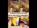 அமைச்சர் சரத்குமாரை பதவி நீக்கம் செய்ய திமுக வலியுறுத்தல் | DMK | Minister Sarath kumar | Sun News