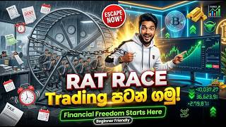 Rat Race එකෙන් ගැලවෙමු සිංහලෙන් - 𝘼𝙡𝙥𝙝𝙖 𝙏𝙧𝙖𝙙𝙚𝙧 𝙇𝙆